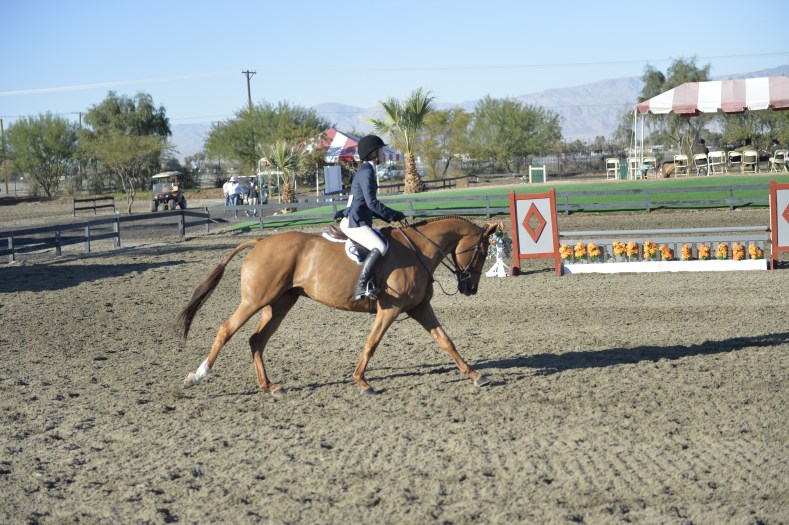 Hard Work and Dedication Pay Off